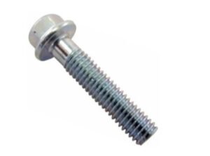 PARAFUSO DO PARALAMA DIANTEIRO MAXX PREMIUM (M6X18 CHAVE 10)