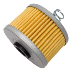 FILTRO OLEO ANEL MAXX